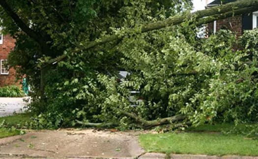 Analyzing Damage from Natural Causes